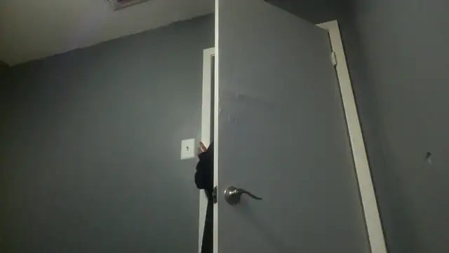 MissBella0969 online show from April 25, 2026, 4:37 am