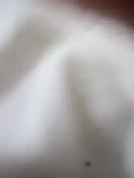 Snapshot of Jaybraconect chatting on February 21, 2026, 5:08 am Jaybraconect online show from February 21, 2026, 5:08 am