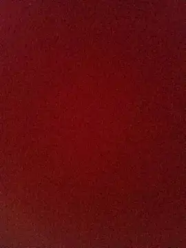 Felipe244907 online show from April 8, 2026, 7:36 pm