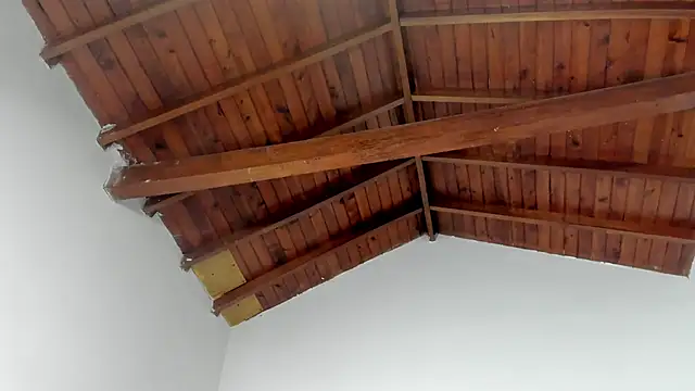 TonyPetrovjs online show from March 15, 2026, 7:36 am