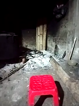 Snapshot of ngocbao11 chatting on March 1, 2026, 12:12 am ngocbao11 online show from March 1, 2026, 12:12 am