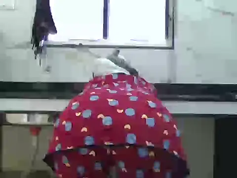 Miss Sanika online show from March 5, 2026, 10:00 am