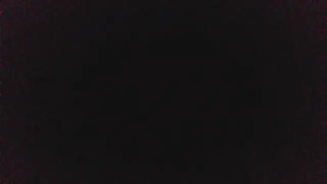 pinkycat online show from April 8, 2026, 6:08 pm