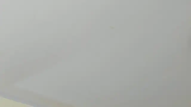 Snapshot of SofiiMontes chatting on May 11, 2026, 12:00 pm SofiiMontes online show from May 11, 2026, 12:00 pm
