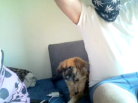 SirNefastus online show from April 12, 2026, 4:28 am