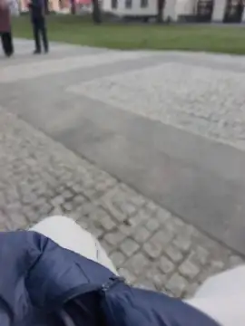 PublicMarekFlashDick online show from March 28, 2026, 2:38 pm