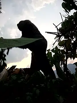 Bling-pusy online show from April 8, 2026, 11:32 am