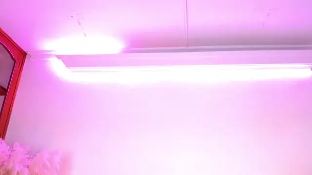 Rebeldana online show from March 14, 2026, 10:53 am