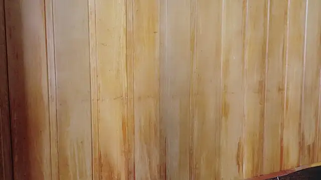 Eliffe jhonson online show from March 16, 2026, 12:09 pm