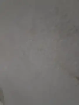 Casandraxquesi online show from March 11, 2026, 4:13 pm