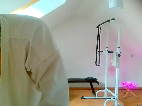 NinjaLaser online show from April 13, 2026, 11:27 am