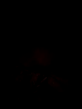 tina2005 online show from March 31, 2026, 7:58 pm