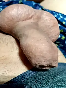 kiwi-strip online show from March 22, 2026, 3:43 am