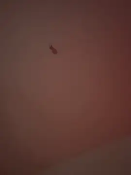 21cm19 online show from March 29, 2026, 1:05 am