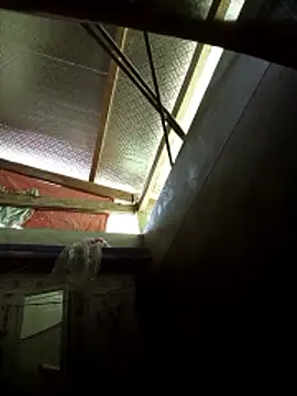 -Tiduta- online show from March 29, 2026, 4:56 am