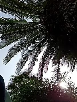 HArry Sk560 online show from April 22, 2026, 1:01 pm