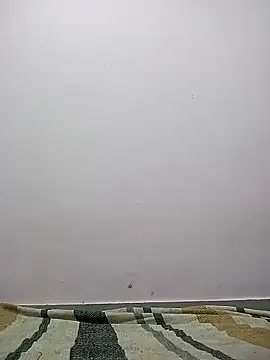 M  Payal   online show from March 22, 2026, 5:22 am