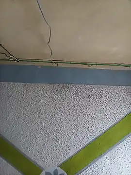 tshidaisa1 online show from April 5, 2026, 2:14 pm