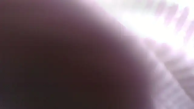Snapshot of Lucia__vega chatting on May 30, 2026, 11:18 am Lucia vega online show from May 30, 2026, 11:18 am