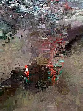 Alimohamed08 online show from March 25, 2026, 1:55 am