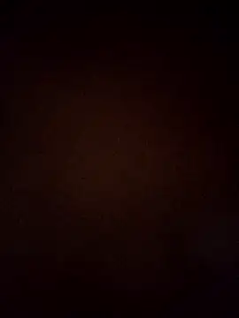 Snapshot of VENUSH_STYLO chatting on March 31, 2026, 4:40 pm VENUSH STYLO online show from March 31, 2026, 4:40 pm