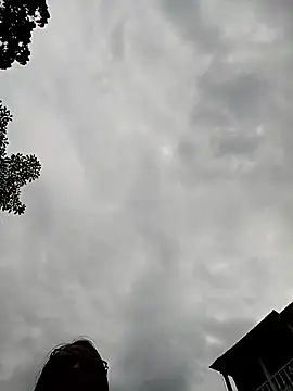 Eli Fezz online show from March 31, 2026, 10:10 pm