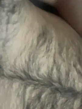 Snapshot of TurkishBoyzs chatting on April 11, 2026, 7:29 pm TurkishBoyzs online show from April 11, 2026, 7:29 pm