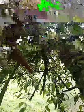 Snapshot of xjkedv chatting on June 6, 2026, 6:45 pm xjkedv online show from June 6, 2026, 6:45 pm