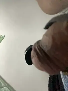 Haddad-9924 online show from April 11, 2026, 7:45 am