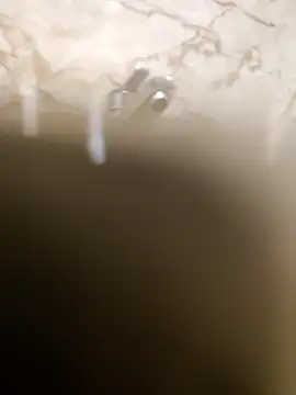 OBengaliBabuO online show from March 16, 2025, 12:34 am