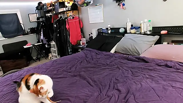 Snapshot of PolyCircus chatting on April 12, 2026, 4:06 am PolyCircus online show from April 12, 2026, 4:06 am