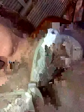 Latinshott online show from April 6, 2026, 4:10 am