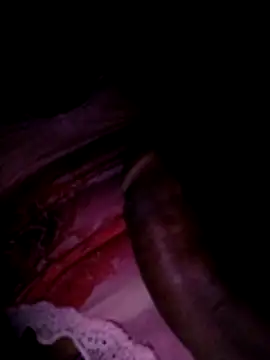 Snapshot of Pipegrandg chatting on April 14, 2026, 4:07 am Pipegrandg online show from April 14, 2026, 4:07 am