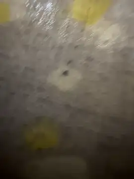 xezie online show from April 10, 2026, 9:58 am