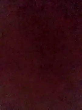 Snapshot of illdoitforetty chatting on April 14, 2026, 11:22 pm illdoitforetty online show from April 14, 2026, 11:22 pm