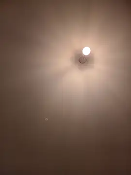 Dietosca online show from April 13, 2026, 2:28 am