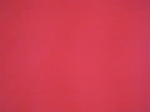 sara sofiamodel online show from April 18, 2026, 1:20 am