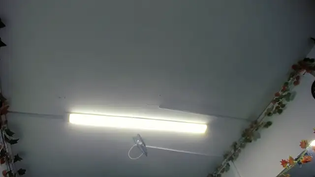 Snapshot of LilaVelvet chatting on May 23, 2026, 6:56 pm LilaVelvet online show from May 23, 2026, 6:56 pm