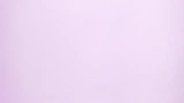 Natasha028  online show from June 2, 2026, 11:34 am