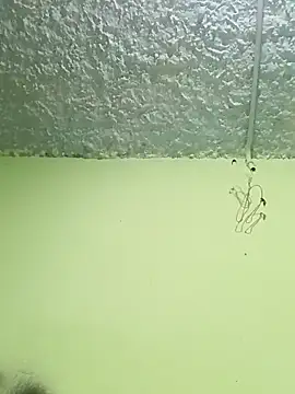 Micaejj online show from April 21, 2026, 8:34 pm