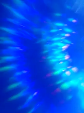 world6kingsss online show from April 23, 2026, 9:06 pm