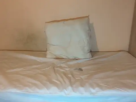 Snapshot of crazytranny chatting on January 18, 2025, 9:24 pm crazytranny online show from January 18, 2025, 9:24 pm