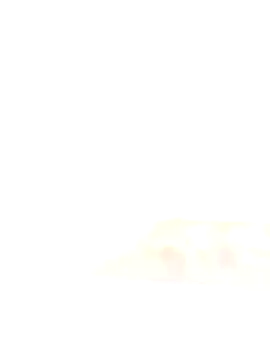 Marceksd online show from April 29, 2026, 12:20 pm