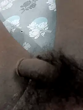 Peterhadly online show from April 26, 2026, 10:24 am