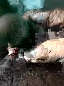 Peterhadly online show from April 28, 2026, 4:12 pm