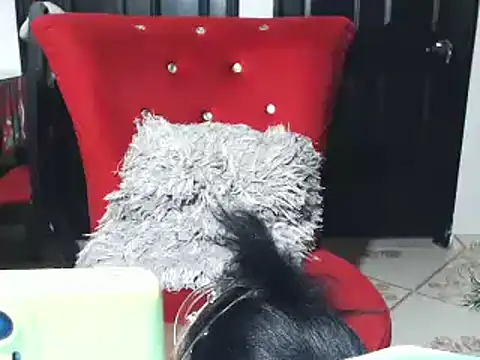 jannyheat online show from January 17, 2025, 4:57 pm