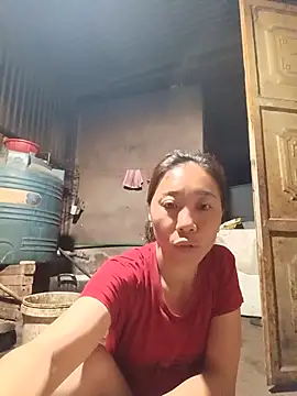 Jinli 01 online show from May 31, 2026, 9:49 pm