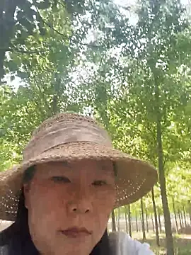 xiaoyun-10 online show from May 11, 2026, 6:41 am