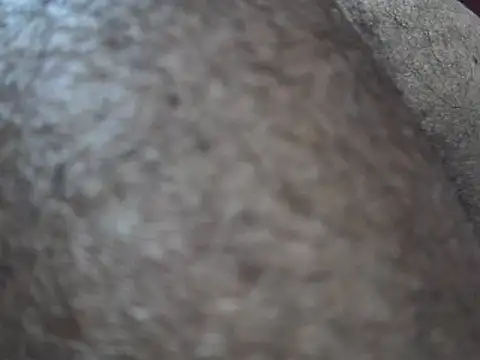 Snapshot of indiboy009 chatting on March 14, 2025, 10:49 pm indiboy009 online show from March 14, 2025, 10:49 pm