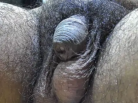 Snapshot of indiboy009 chatting on September 9, 2025, 7:35 pm indiboy009 online show from September 9, 2025, 7:35 pm